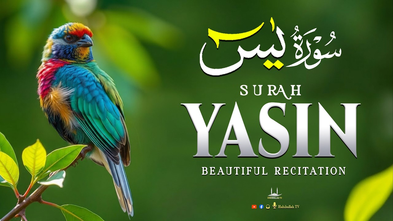 One of the Most Beautiful Voices in the World سورة يس Recitation that soothes the heart💚Surah Yaseen