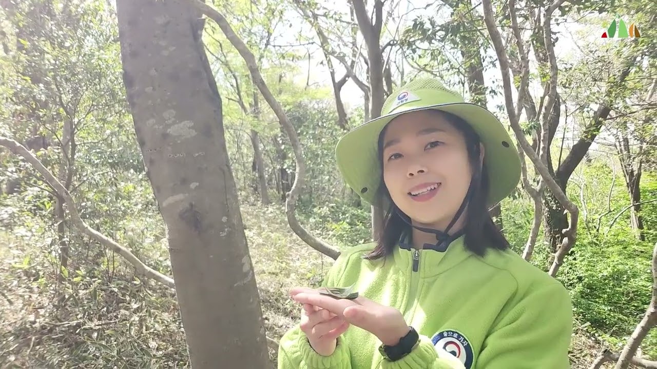 [ # 4 ] 조릿대 배 만들기 - 서귀포자연휴양림 푸리롱 유아숲체험원