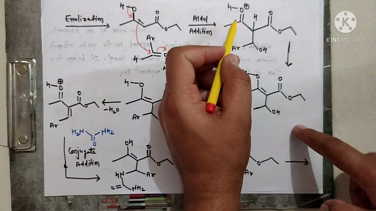 Biginelli Reaction or Biginelli Pyrimidone Synthesis ( Multi - Component reactions), L-1