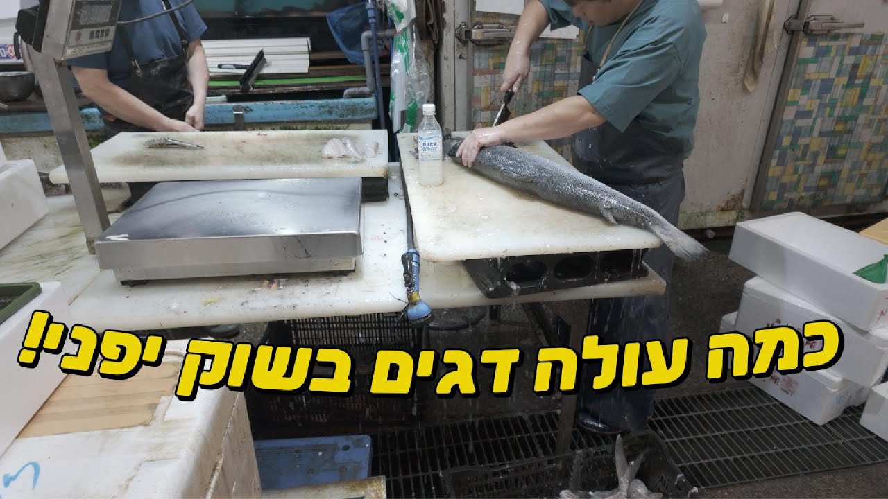 כמה עולה דגים בשוק יפני!
