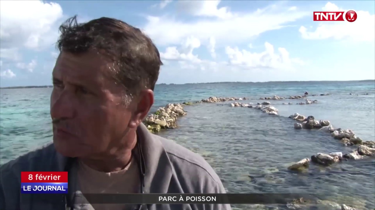Tuamotu : le retour du parc à poissons traditionnel
