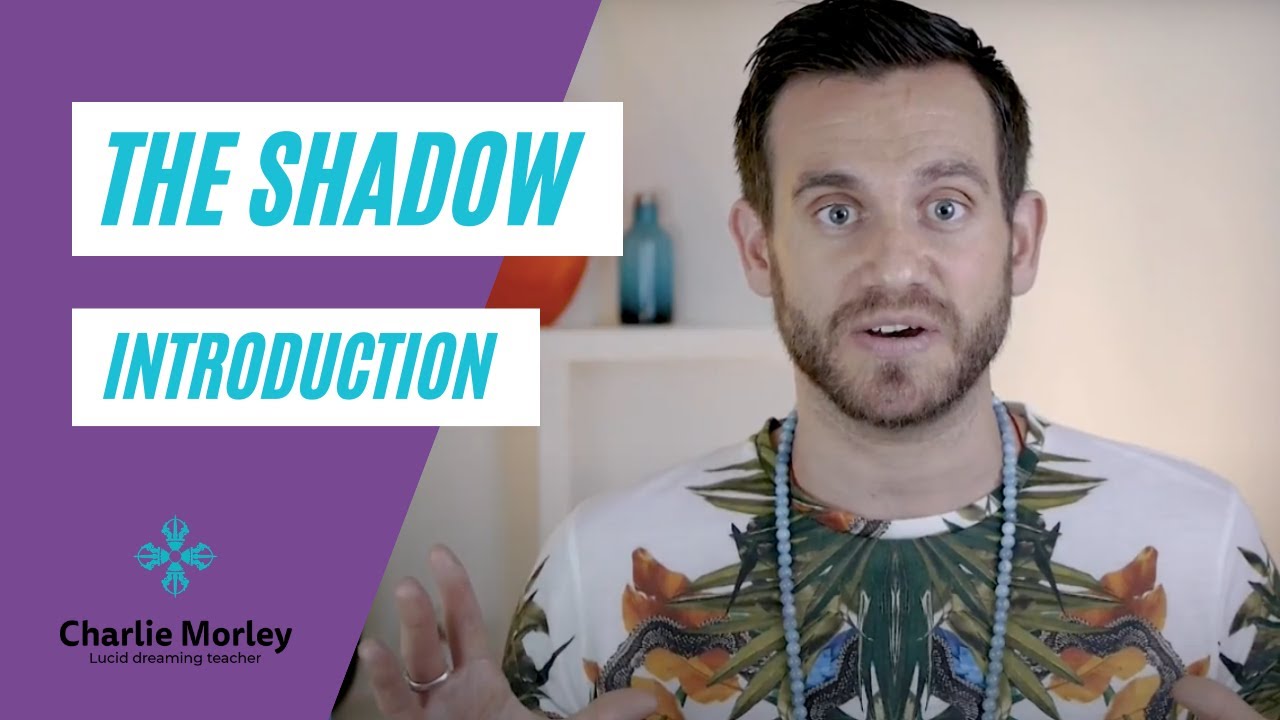An Introduction to The Shadow