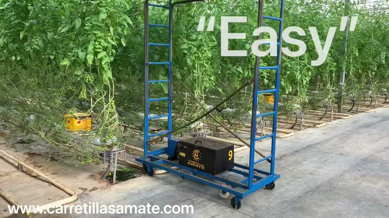 Andamio eléctrico tuborail Easy