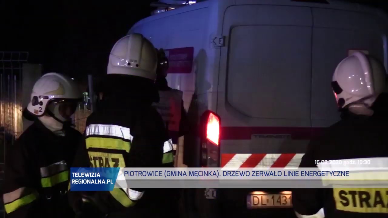 PIOTROWICE. Powalone drzewo zerwało linie energetyczne