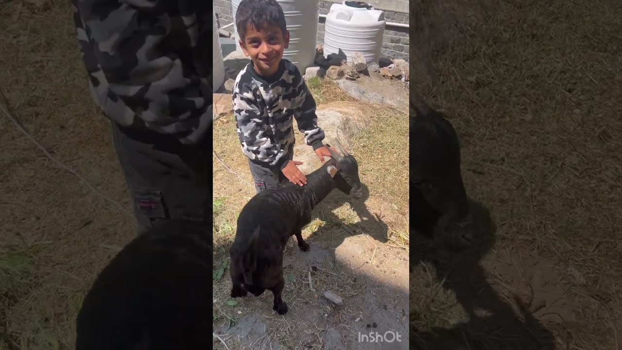 يافع 18 رحله 2024 قريه فحاله العياسى وسوق المحمل يافع محبكم خالد الجعدبي