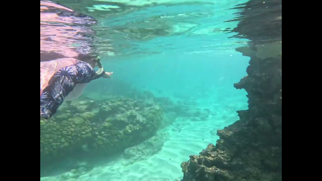 Smith Cove Grand Cayman Island -BEST SNORKELING SPOT