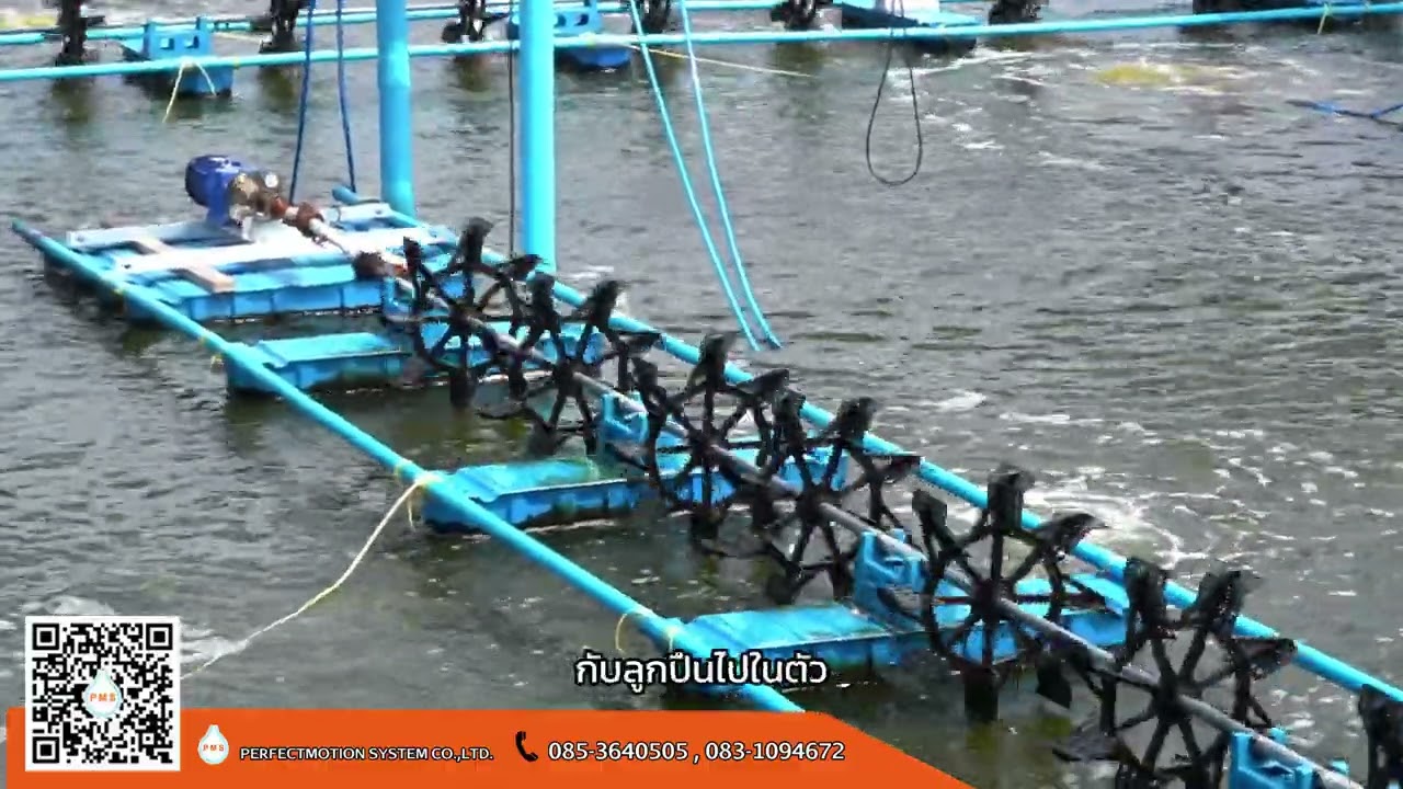 Inverter Powtran  ปรับความเร็วรอบแขวนตี่น้ำ  ฟาร์มกุ้ง  3 แรง  BY  PMS