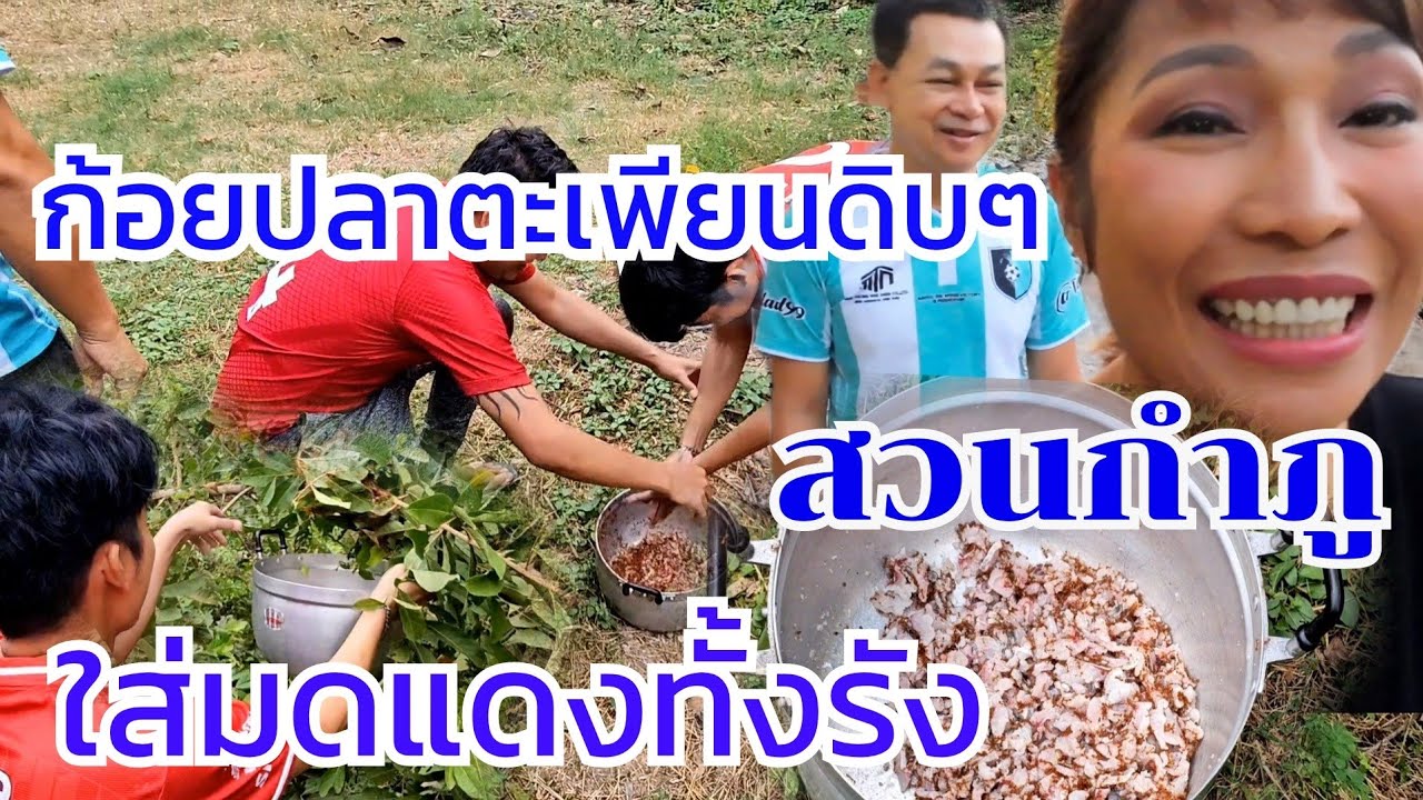 ก้อยปลาตะเพียนใส่รังมดแดง ครั้งแรกของสวนกำภู #บ้านสวนกำภูEp916