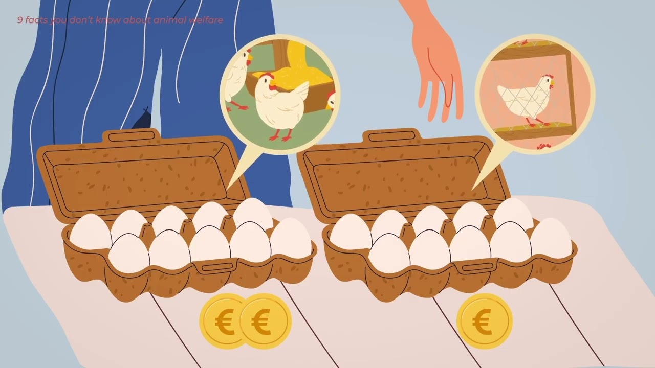 9 Facts You Don't Know About Animal Welfare