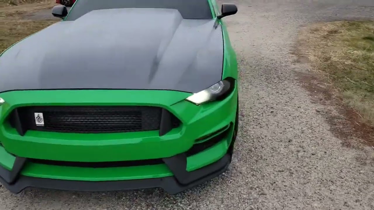 Paxton Supercharged 2019 Ford Mustang GT For Sale