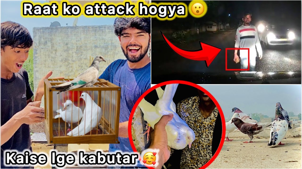 Finally Naye kabutar Kharid liye 🤑 || Raat ko Gadi per attack hogya 😮