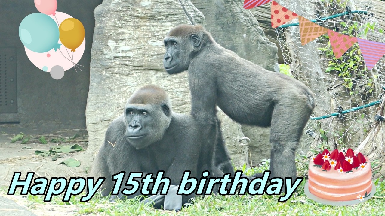 Happy 15th birthday to Tayari 🥕🍓🥦🌽🍅/ 祝福 Tayari 15歲生日快樂!🎁🎉🎈