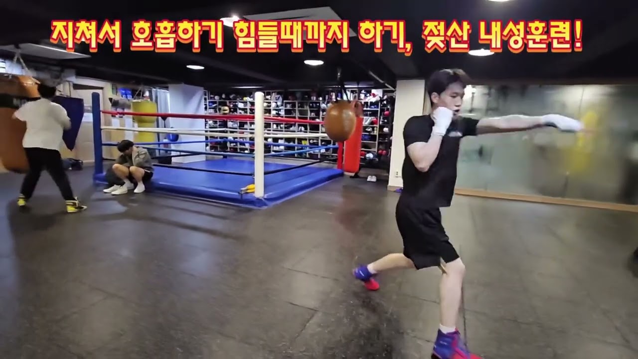 새도복싱 젖산내성훈련