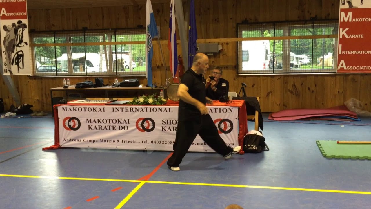 Hsing Yi and Neijia training