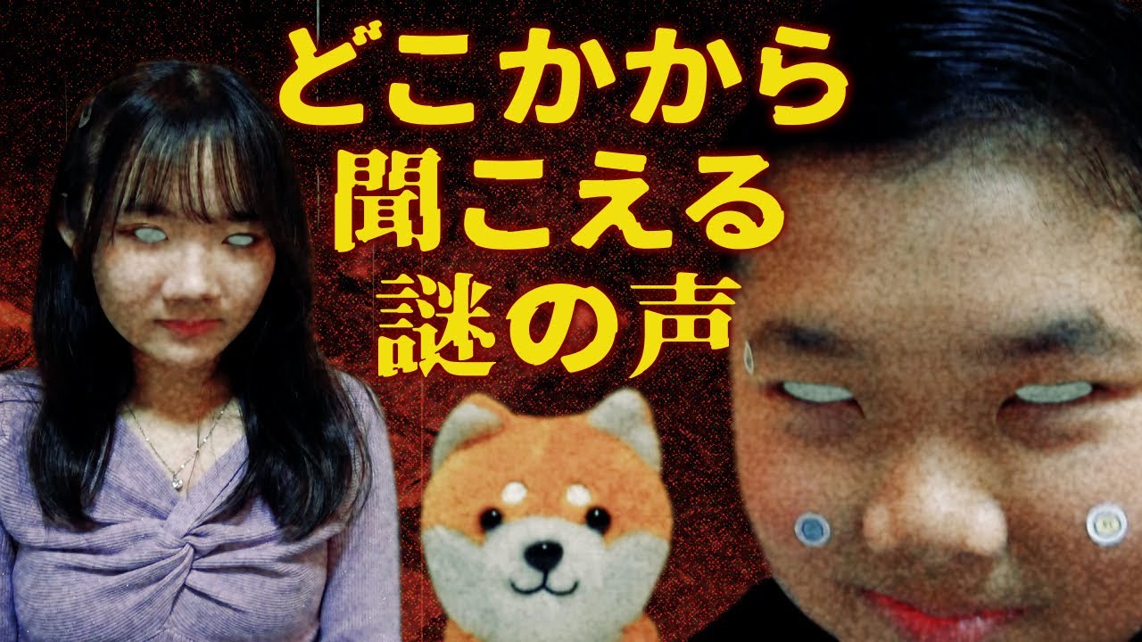 ◆【ミステリー】ワンワッワ～ンどこかから聞こえてくる声の謎◆