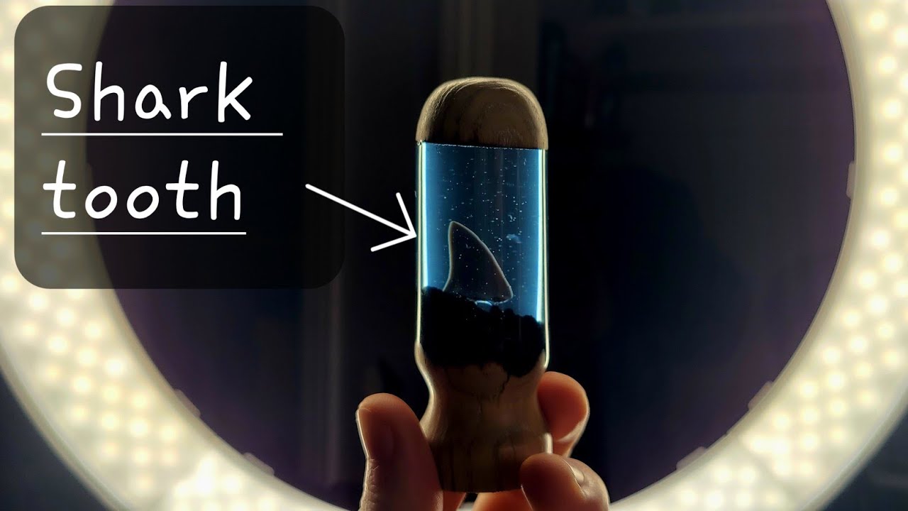 Resin Shark Tooth