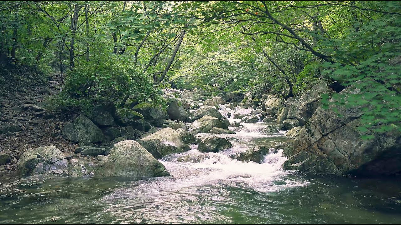 [4K walk] Yangpyeong Jungwon Valley , Gyeonggi-do in Korea / 양평중원계곡 산책