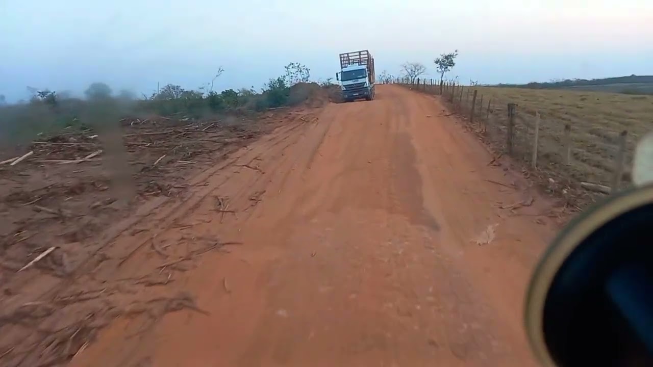 Conheçam as dificuldades do transporte de eucalipto. vem comigo.