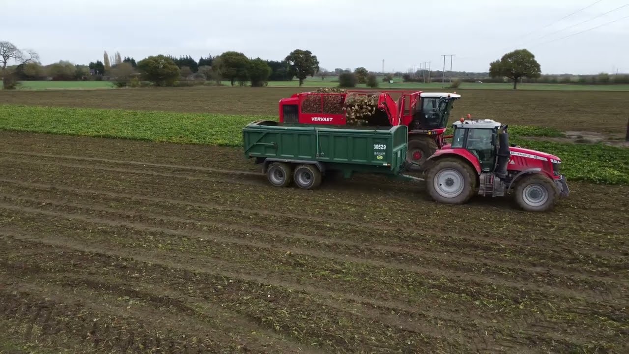 Sugar Beat Harvest 2022