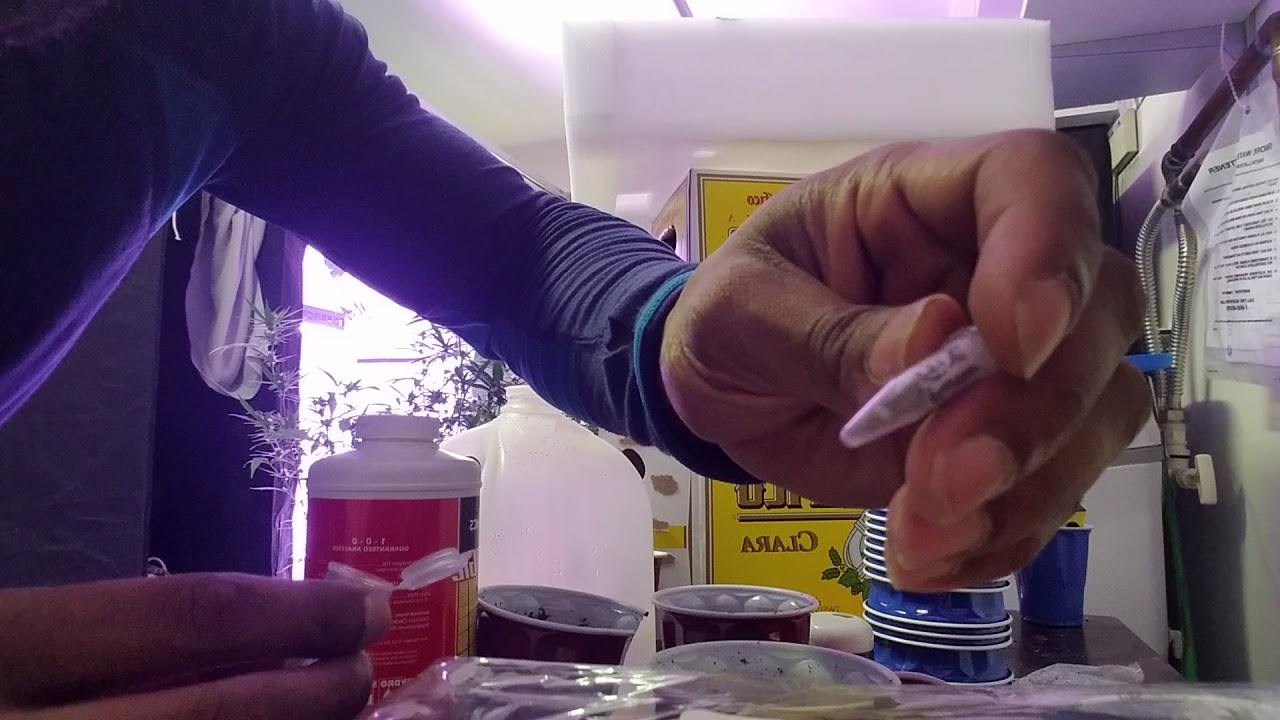Unboxing 420 Girl Package NEW Strains