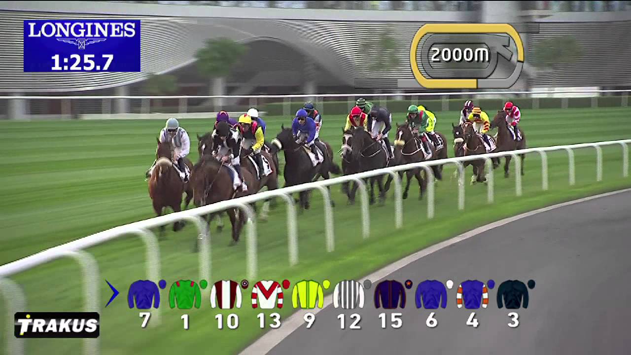 Race 3 - Dubai Gold Cup Sponsored By Al Tayer Motors