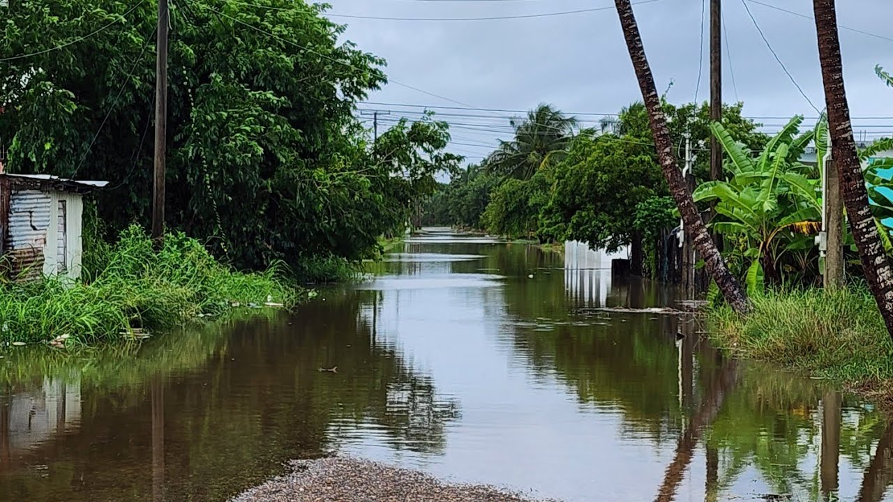 Tropical Storm 🌀 Nadine- Corozal, Belize, After its Passing.