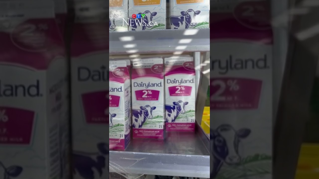 Дефицит молока Dairyland: Saputo приносит извинения
