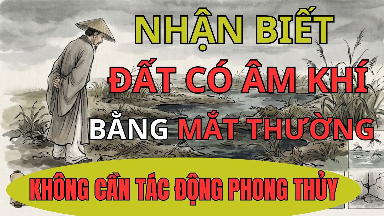 Thầy Phong Thủy : 8 Dấu Hiệu Đất Có Âm Khí Mắt Thường Có Thể Thấy - Chú Ý Dấu Hiệu Số 6 | Phong Thủy