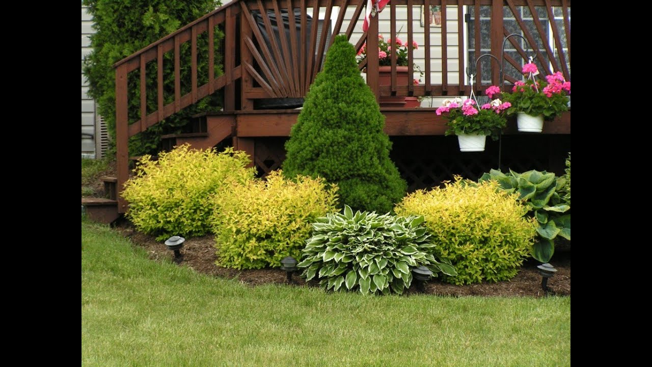 40+ Razne ideje za dvoriste - Garden ideas!! #25