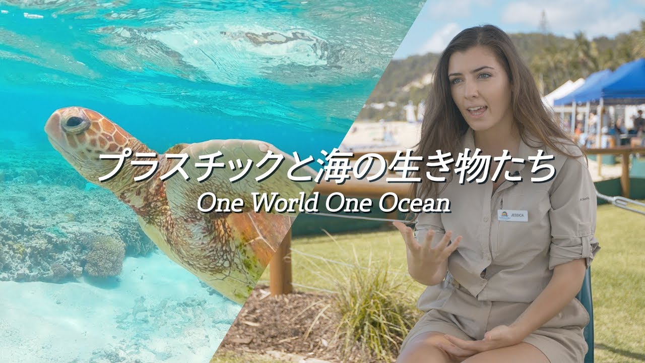 One World One Ocean ~プラスチックと海の生き物たち~ [4K]
