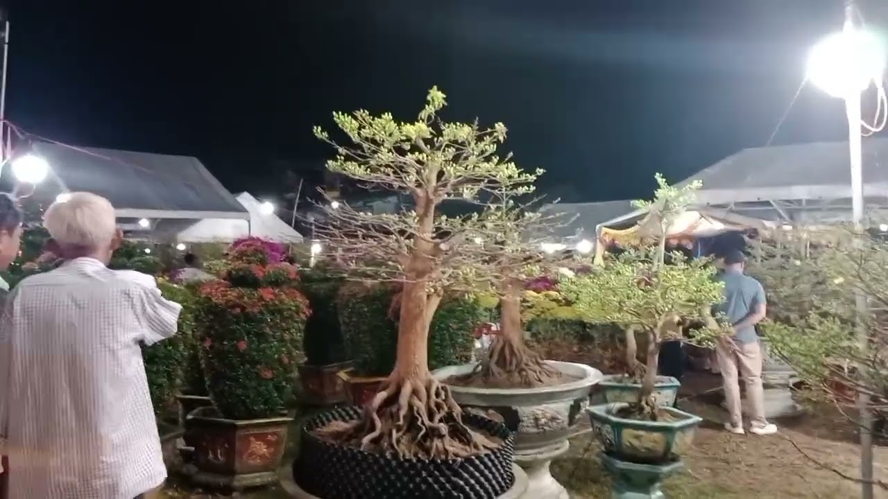 Bình Dương thân thương 
