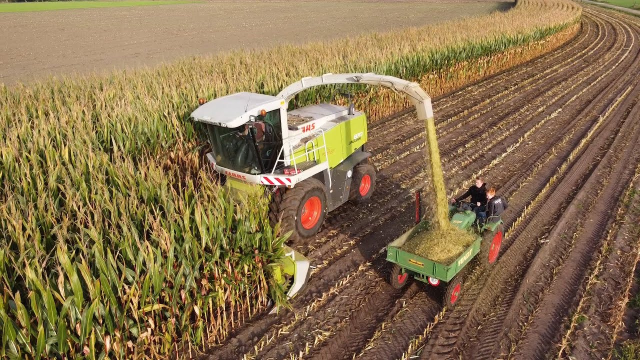 Chopping corn Fendt GT