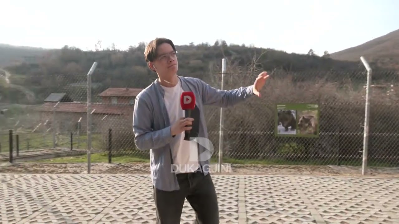 Çka perjetojnë kafshët në kafaz? / Kevini nga Pylli Arinjve brenda kafazeve
