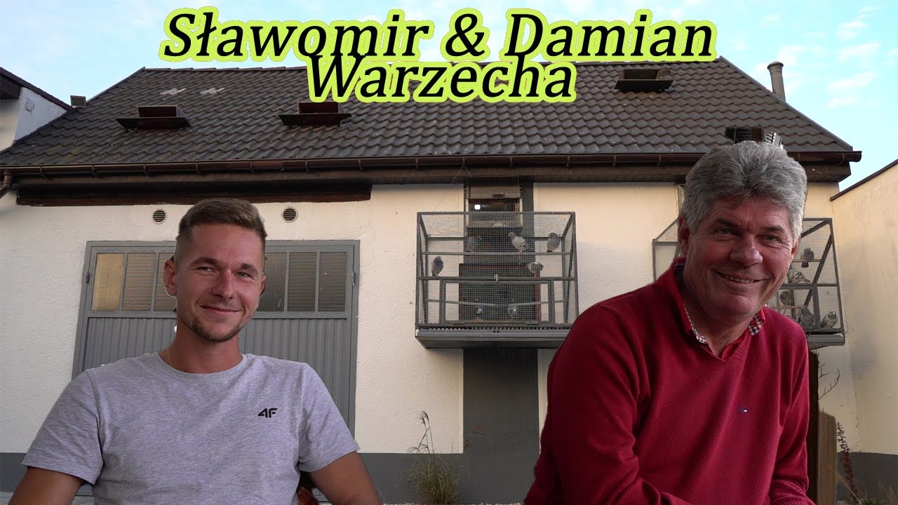 Sławomir & Damian Warzecha - 0100 Ostrów | Czołowa hodowla Okręgu Kalisz! 🏆