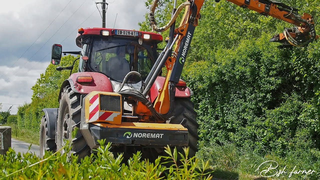🌿 Lamier avec la SARL GUESSANT