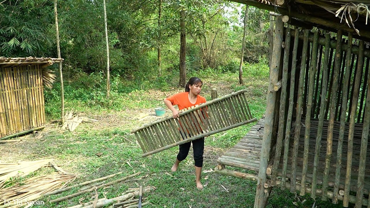 wooden chicken coop design, cooking for two sons, highland life.