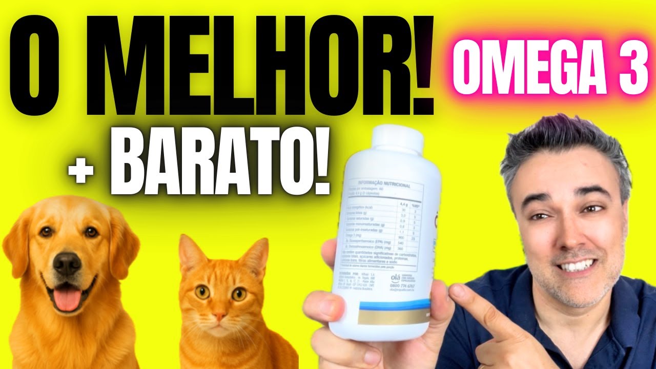 💥Tudo sobre MELHOR ÔMEGA 3 para CÃES E GATOS e o ✅MAIS BARATO!