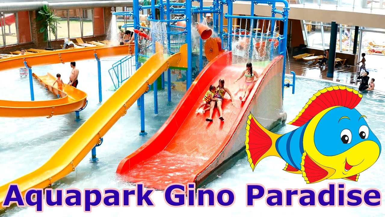 Gino Paradise Water Park in Tbilisi -  аквапарк в Тбилиси