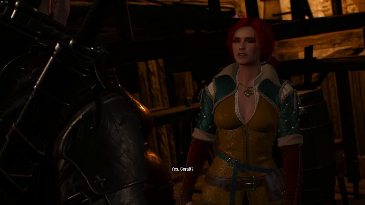 [PC] The Witcher 3: Wild Hunt Brothers In Arms - Help Triss Finish Things . . Bug Solution