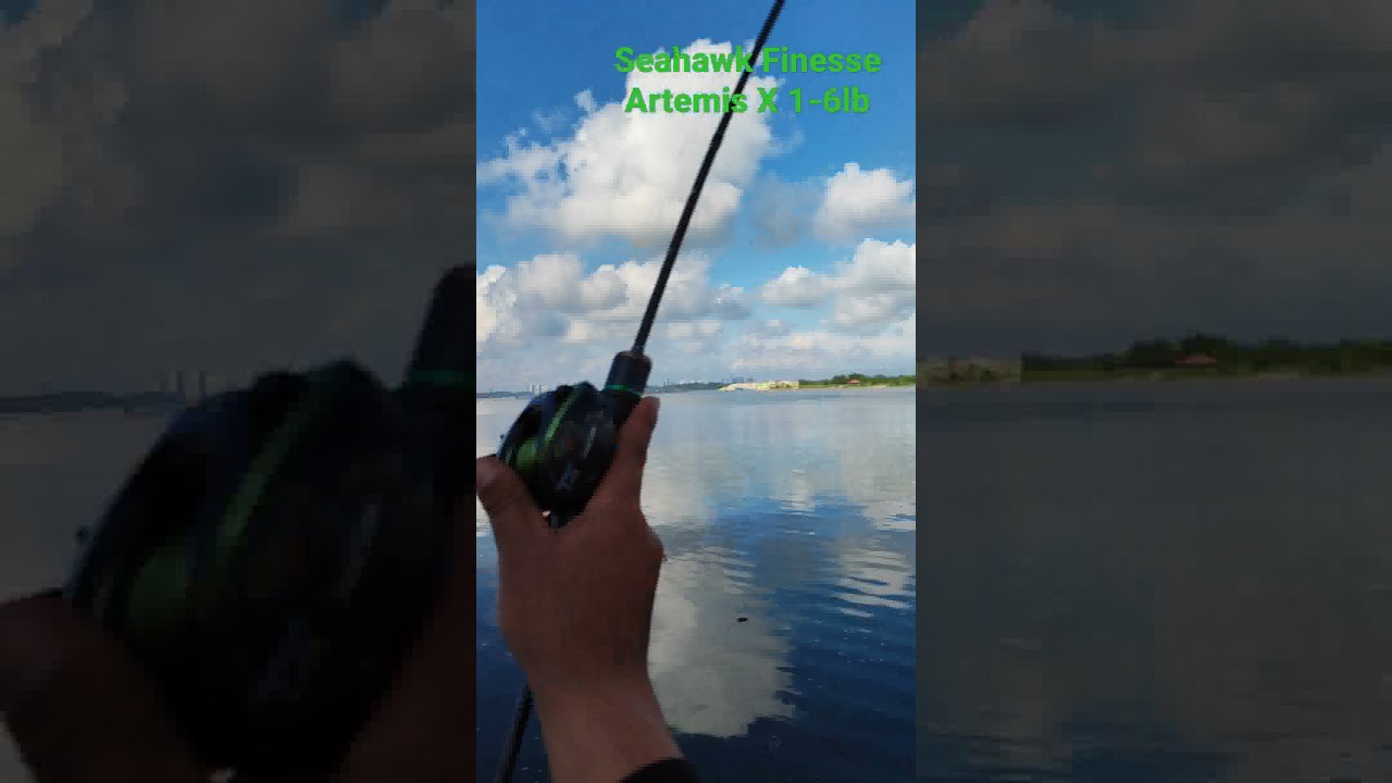 Seahawk Finesse + Artemis X 1-6lb