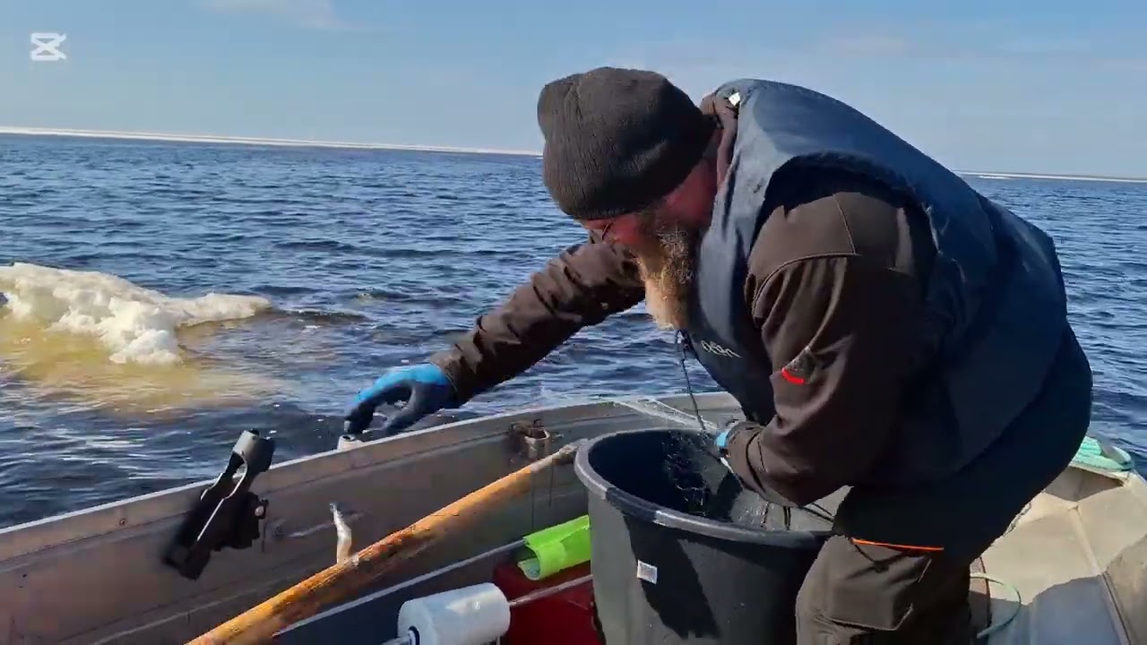 Jäät palasi. Miten kävi verkkojen?