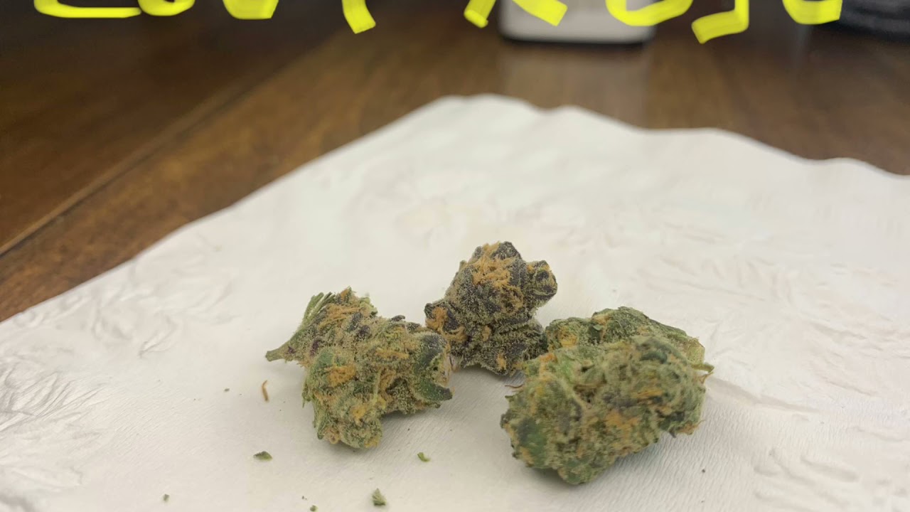 Lucinda Williams x GSC Grassroots
