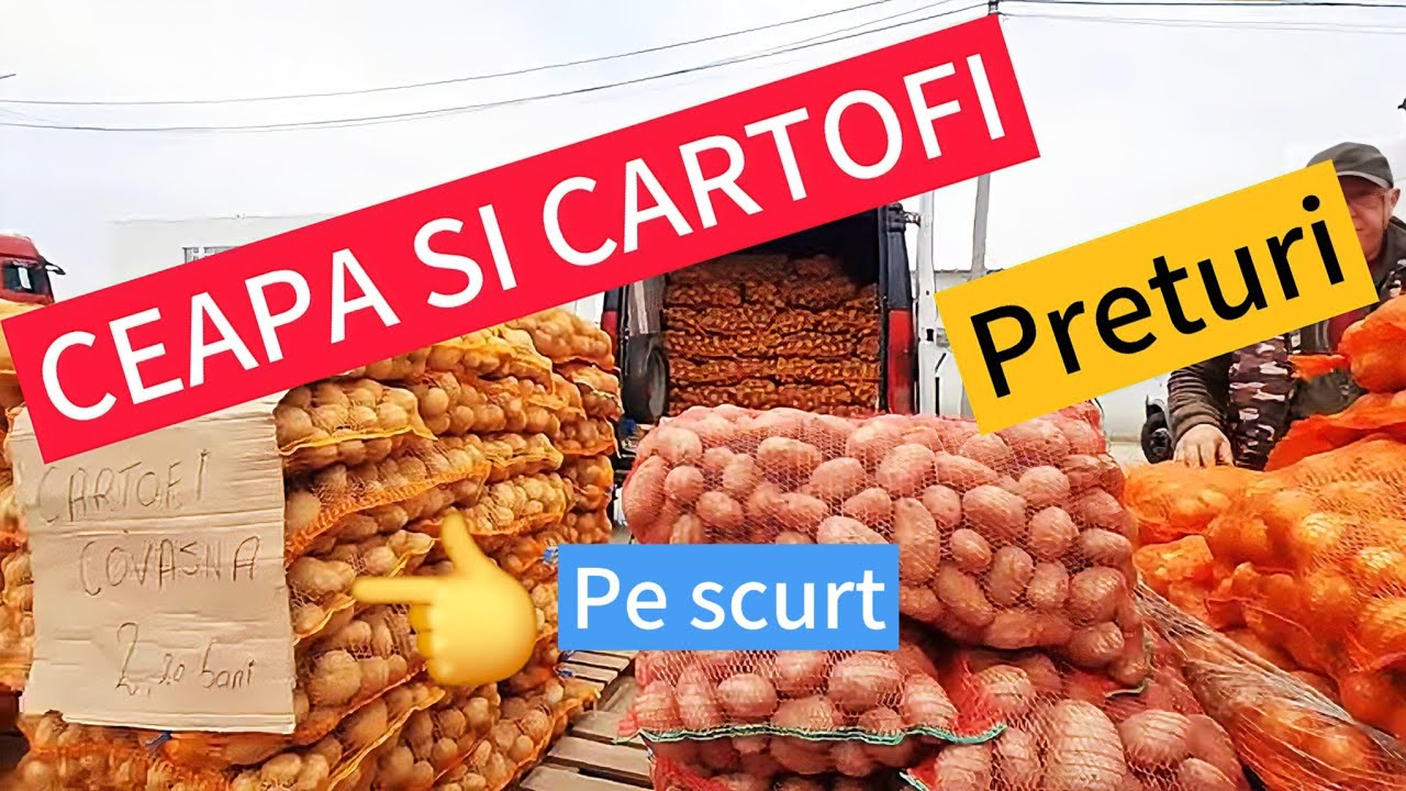 Ceapa și Cartofi: Preturi la Targul Pucheni