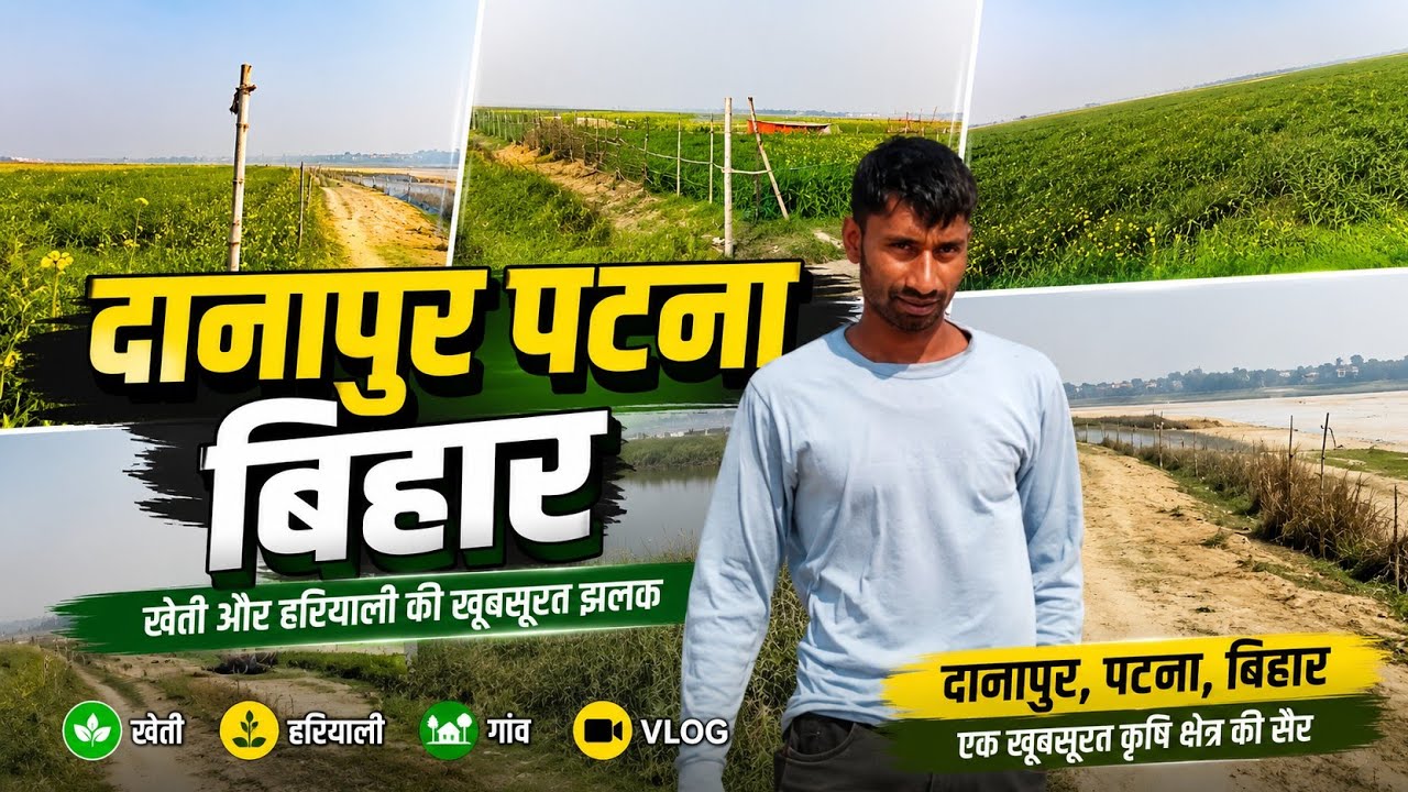 बिहार पटना दानापुर एग्रीकल्चर एरिया ब्लॉग 