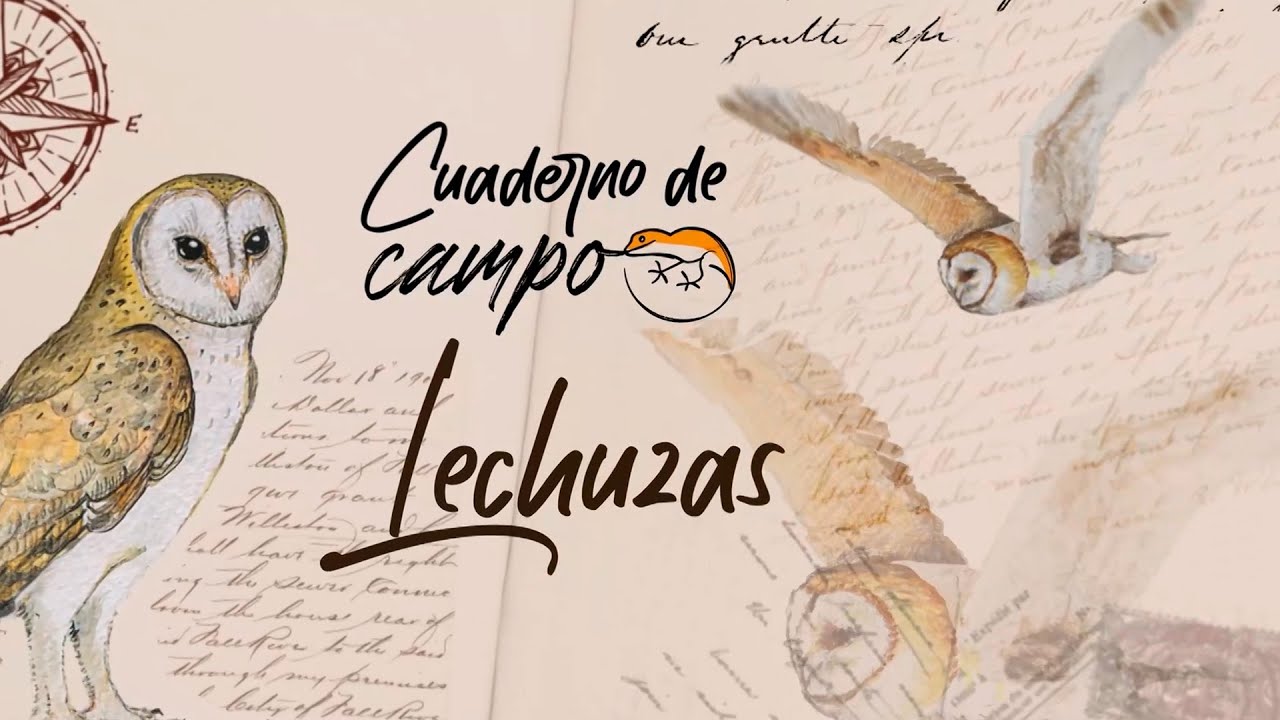 Lechuzas - Cuaderno de campo | La2