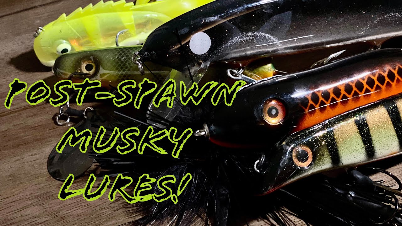 POST-SPAWN MUSKY FISHING LURES, Spring Muskie FIshing
