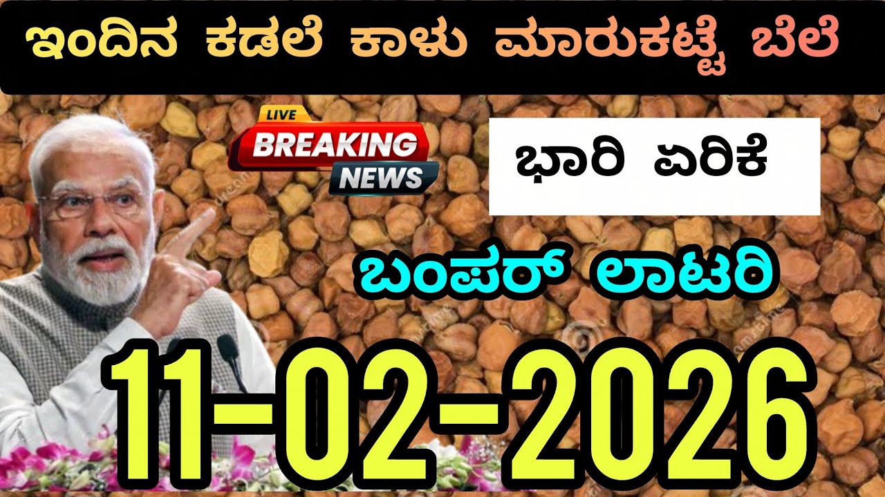 Today Chickpea Market Rate | 11-02-2026 | ಇಂದಿನ ಕಡಲೆ ಕಾಳು ಮಾರುಕಟ್ಟೆ ಬೆಲೆ #chickpea #marketing 