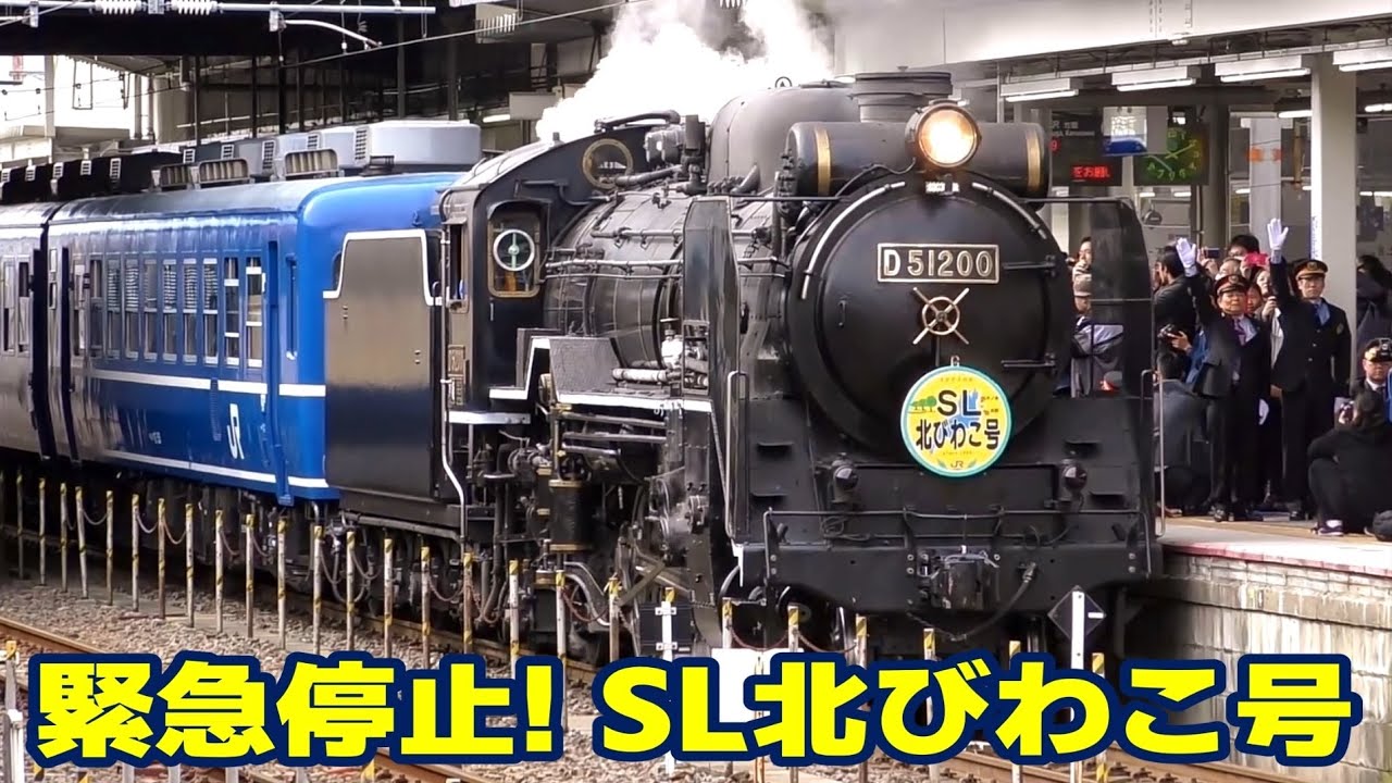 発車後 緊急停止あり　D51-200「SL北びわこ号」　送り込み回送～米原発車～返却回送