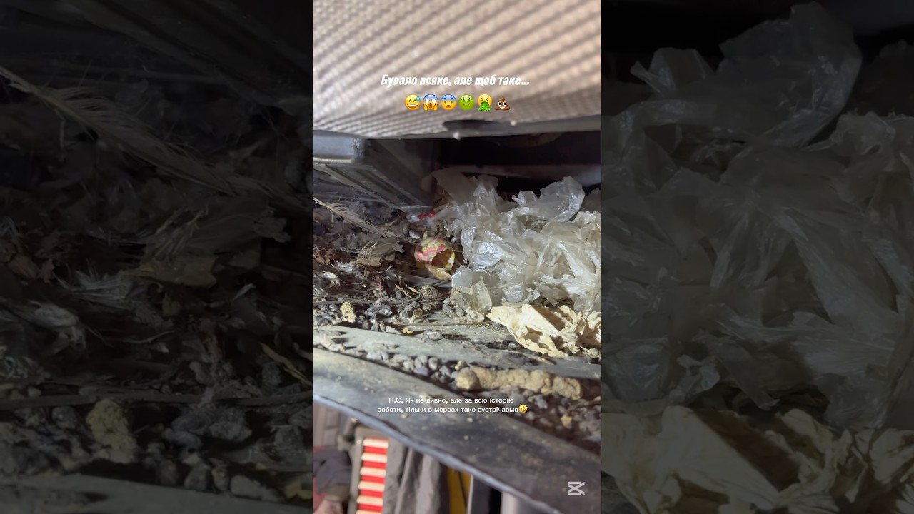 А таке бачили?!😱🤯🤮💩  