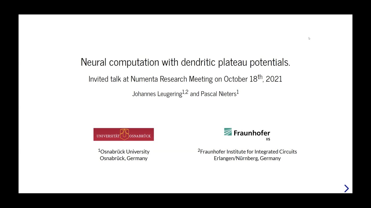 Neural Computation with Dendritic Plateau Potentials - 18 October, 2021